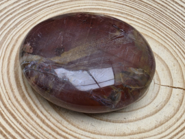Versteend hout handsteen