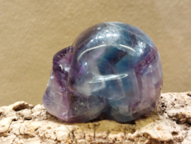 Fluoriet human skull
