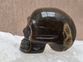 Tijgeroog human skull