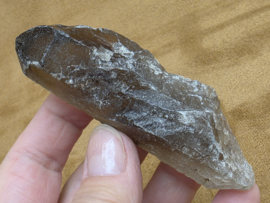 Rookkwarts punt lemurisch uit Brazilië