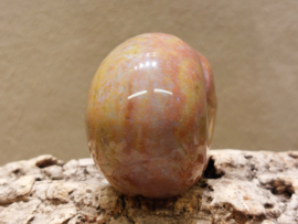Oceaan jaspis human skull