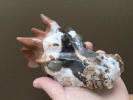 Sardonyx draak met labradoriet ogen