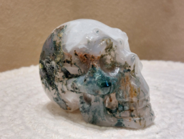 Mosagaat human skull
