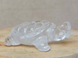 Bergkristal schildpad