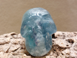 Fluoriet human skull