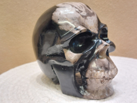 Versteend hout human skull