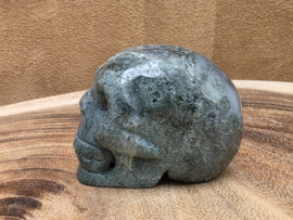 Mosagaat human skull