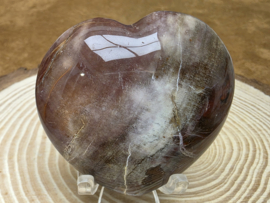 Versteend hout hart