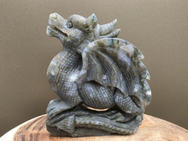 Mosagaat draak full body