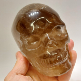 Rookkwarts human skull