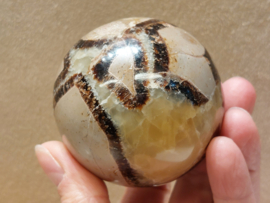Septarie bol