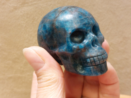 Apatiet human skull