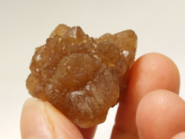 Citrien uit Marokko cluster