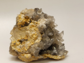 Hondentand calciet uit Marokko