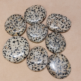 Dalmatiër jaspis platte steen
