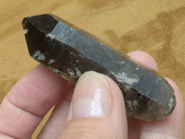 Rookkwarts punt lemurisch uit Brazilië