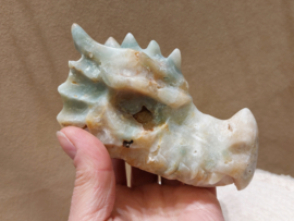 Blue carribean calciet draak