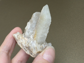 Feeënkwarts of heksenvinger uit Afrika