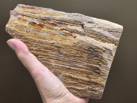 Versteend hout uit Indonesië