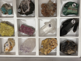 Verzameldoos met 12 stenen