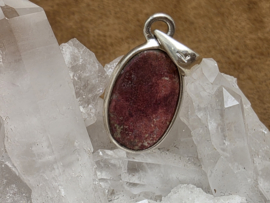 Thuliet hanger in zilver