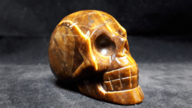 Tijgeroog human skull