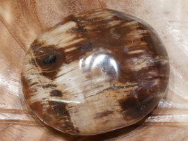Versteend hout handsteen