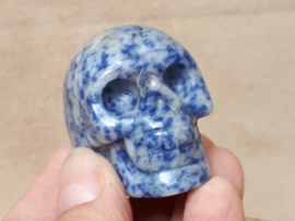 Sodaliet skull