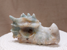 Blue carribean calciet draak