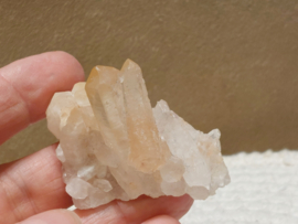 Golden healer cluster