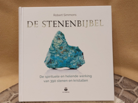 De stenenbijbel, Robert Simmons