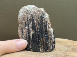 Zwarte toermalijn ruw stuk met gouden mica, hematiet en albiet