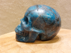 Apatiet human skull