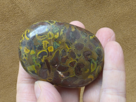 Rhyoliet of regenwoud jaspis handsteen