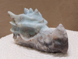 Blue carribean calciet draak