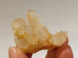 Golden healer cluster