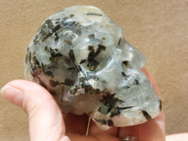 Prehniet human skull