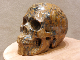 Tijgerijzer human skull