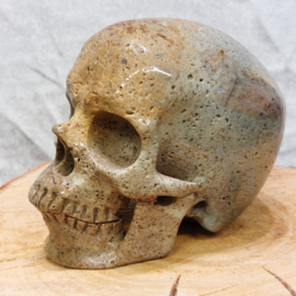 Oceaan jaspis human skull