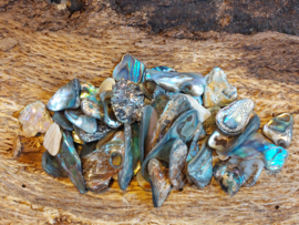 Abalone schelp kleine stukjes 6 stuks
