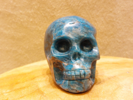 Apatiet human skull