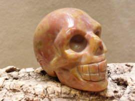 Oceaan jaspis human skull