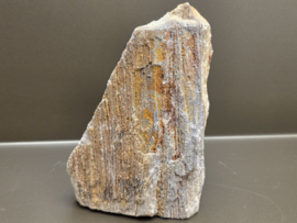 Versteend hout uit Indonesië