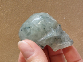 Prehniet human skull