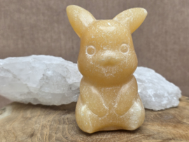 Oranje calciet pikachu