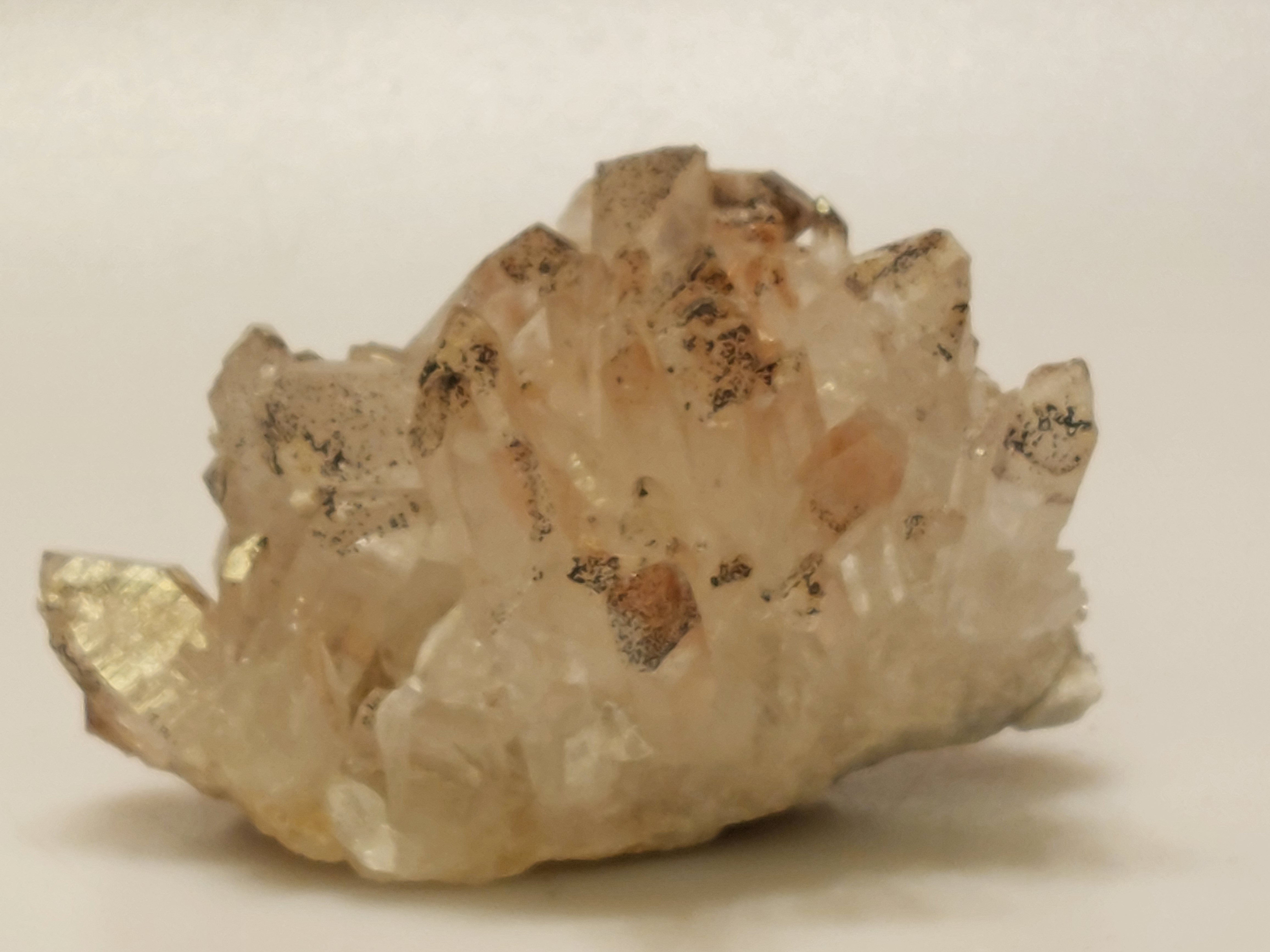 Maria magdalena cluster