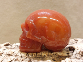 Carneool human skull
