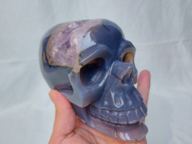Agaat human skull