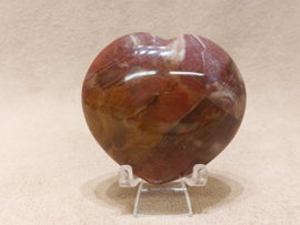 Versteend hout hart