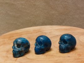 Apatiet skullie